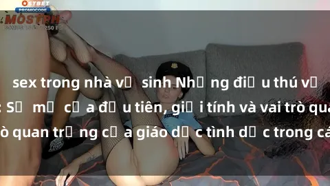 sex trong nhà vệ sinh Những điều thú vị về sex ở Bắc Âu: Sự mở cửa đầu tiên, giới tính và vai trò quan trọng của giáo dục tình dục trong các quốc gia này.